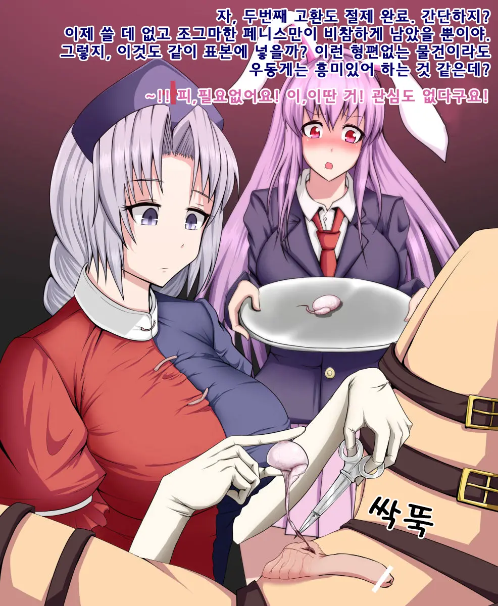 Eirin To Udonge No Kyousei Kougan Tekishutsu Shujutsu L 에이린과 우동게의 강제 고환 적출 수술